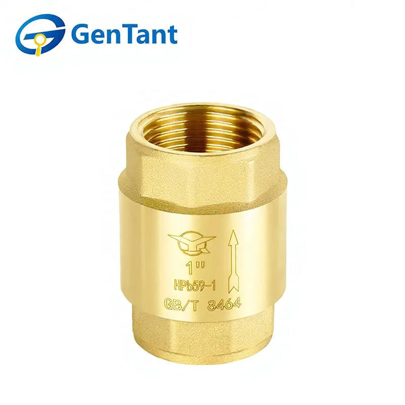 كيف يعمل صمام فحص الزنبرك على تحسين كفاءة النظام؟