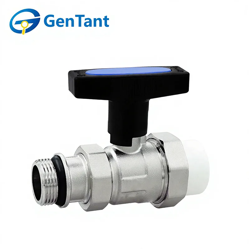 كيف يعمل صمام العودة ذو الساق الطويلة؟