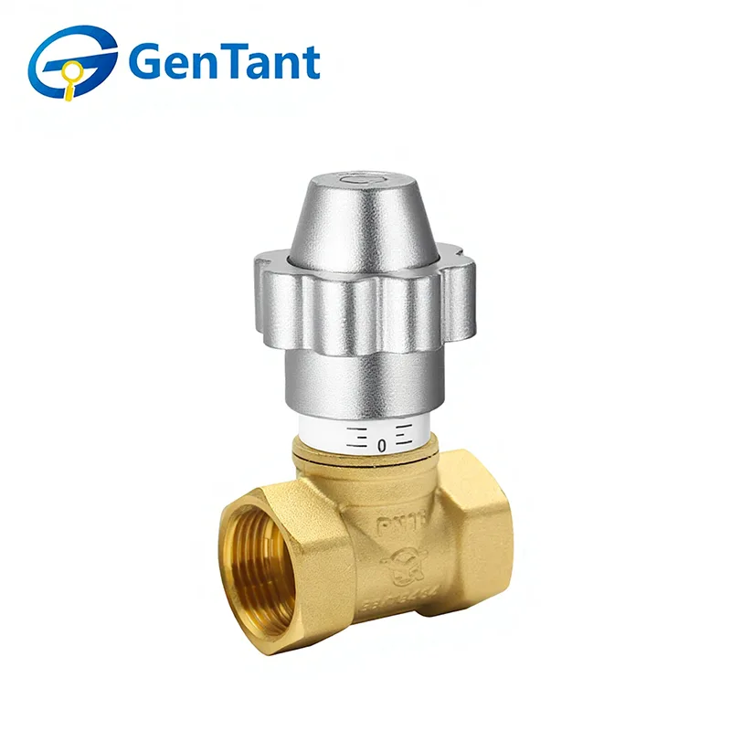 صمام الكرة الأرضية للتحكم في التدفق المغناطيسي القابل للقفل